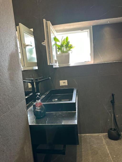 Green Apartment Tiran Dış mekan fotoğraf